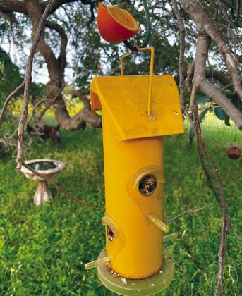 If you are using S hangars for your outdoor bird feeders, you can stick the orange wedge onto the end. This also prevents the squirrels from knocking your bird feeder to the ground.