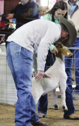 Judge Zac Blount determined champion and grand champion goats and sheep at the 2021 Burnet County Livestock Show. FIle photo