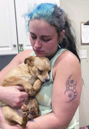Jay Bailey, a kennel technician with Highland Lakes Canine Rescue comforted a chihuahua-mix named Eowyn one of 89 rescued from a Spicewood Beach home. Contributed