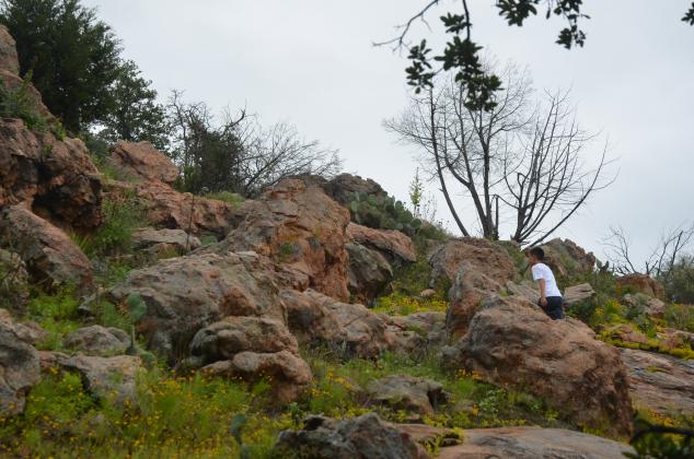Trails at Texas State Parks range in length and difficulty levels across the state. Inks Lake State Park (pictured here) in Burnet County is a popular first-day hike location. File photo