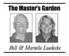 Bill Luedecke and Martelle Luedecke