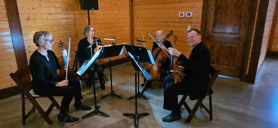 Music was provided by the HighStrung String Quartet. Pictured, from left, are Susan Matheny, Linda McArthur, Mary Jane Avery and Graham Avery.