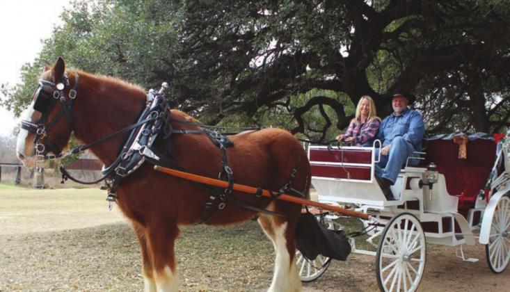 Leslie and Cory Comstock, married for more than 30 years, own C&amp;L Carriage in which they take to special events and festivals as well as rent out for special Connie Swinney/The Highlander