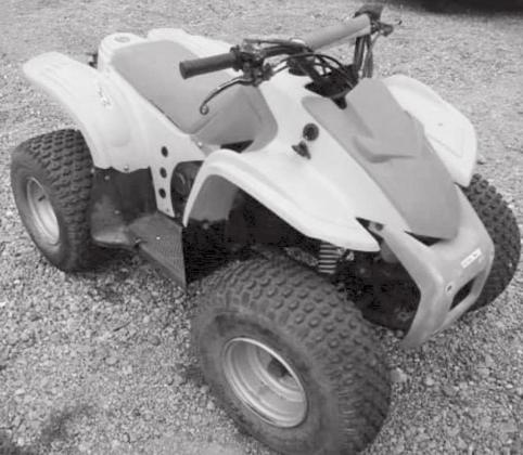 A Granite Shoals city employee is credited with helping investigators crack the case of a stolen ATV, police reported. Contributed