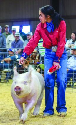 Burnet County Livestock Show will be held Thursday, Friday and Saturday, Jan. 4 – 6. Pictured is Braelynn Sommers at a past competition at the Burnet County Fairgrounds. File photo