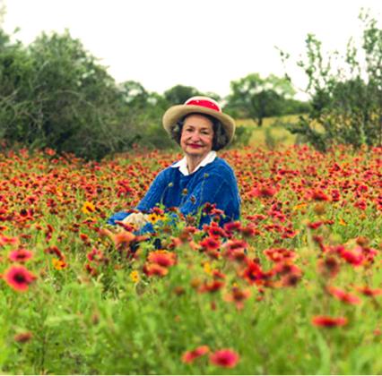 The exhibit showcasing the photograph entries this summer will not only highlight the beauty of these flowers but also delves into the fascinating history, including Lady Bird Johnson's contribution, and folklore that surrounds them. File photo