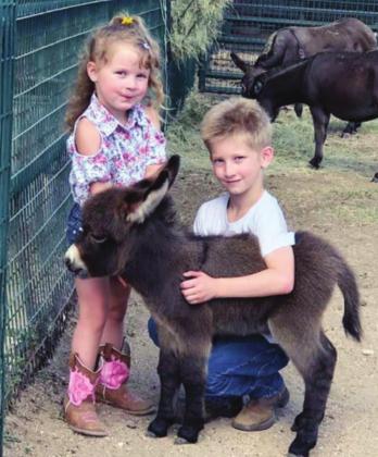 Jayce and Karolina Vaughn spent some quality time recently with a miniature donkey by the name of Emmy Lou Harris. Contributed