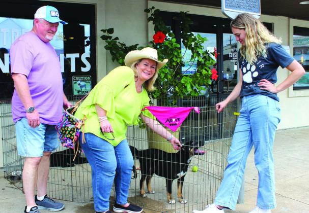 A number of visitors on Main Street in Marble Falls stopped May 19 to admire puppies during a free adoption effort by Hill Country Humane Society. Pictured, from above left, are Rick and Kristen Chandler from Weatherford with HCHS Executive Director Paighton Corley. Photos by Connie Swinney/The Highlander