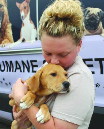 Hill Country Humane Society volunteer Danielle Wolff smooches Selina, a golden retriever puppy, May 13 in Bertram. Raymond V. Whelan/The Highlander