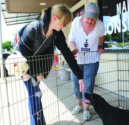 HCHS representative Susan Kurdwig did her best to coax Trinity Davis of Marble Falls to take home a puppy May 19 during the shelter’s mobile adoption program on downtown Main.