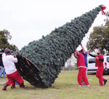 Each year crews from the Intermediate Sanction Facility (ISF), pictured here on Nov. 8, assist with some of the initial heavy lifting to transport and place several items on the grounds of Walkway of Lights in Lakeside Park in Marble Falls. Connie Swinney/The Highlander