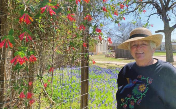 The bluebonnets and the honeysuckle at the Falls on the Colorado Museum in Marble Falls survived the February freeze, said Robyn Richter, chairperson of the museum board. The museum will reopen with a “Birds and Blooms” exhibit on Thursday, April 8, after being closed a year due to COVID-19. Contributed/Falls on the Colorado Museum