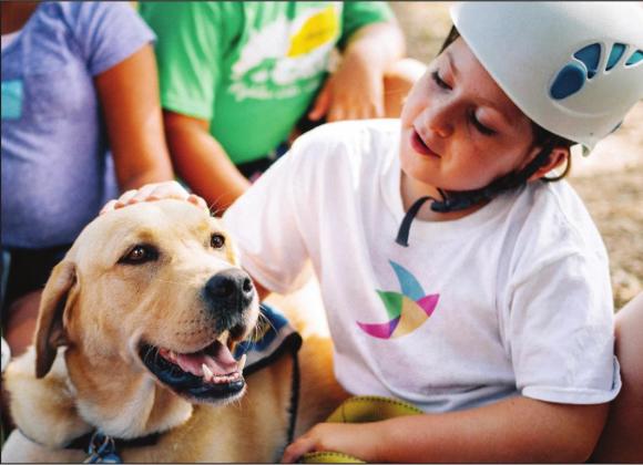 The Phoenix Center services include children’s therapy groups with innovative methods such as animal-assisted therapy. Contributed photo