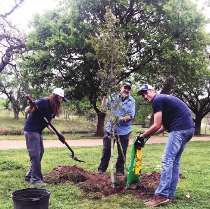 LCRA employees planted trees at Johnson Park in Marble Falls during LCRA’s Steps Forward Day in 2019. During the annual day of service, which will be held Friday, April 9, LCRA employees work on dozens of community projects throughout the LCRA service territory. File photo