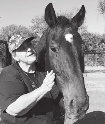 HARTH volunteer Linda Schutt gives caring and affection to Harley, one of the horses at the equine therapy center on the shores of Lake Buchanan. HARTH and the Highland Lakes Family Crisis Center are joining forces to provide equine-assisted therapeutic programs to victims of domestic violence and sexual assault. File photo