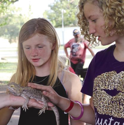 Hydee Mortenson and Emmee Solomon get acquainted with a bearded dragon. Photos by Martelle Luedecke/Luedecke Photography